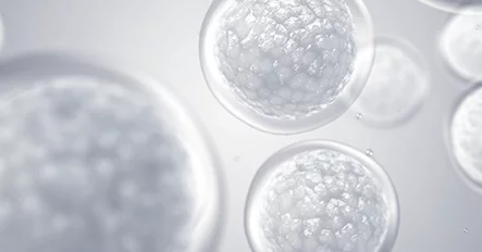 Tiêm tế bào gốc tủy xương