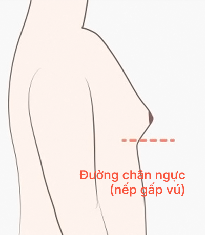 surgery_illust
