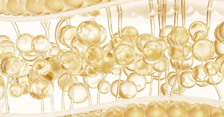 Tiêm tế bào gốc mỡ